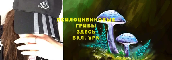 винт Армянск