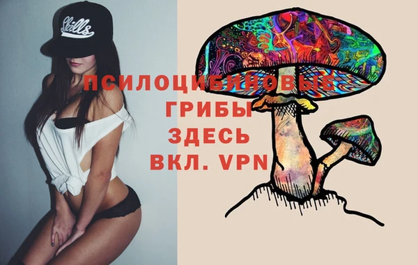 таблы Аркадак